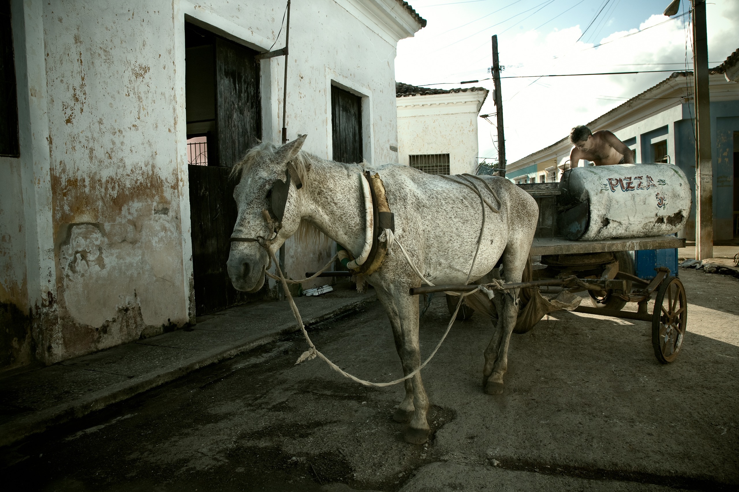 Cheval attelé à une charrette dans une rue, Caibarién, Villa Clara, Cuba