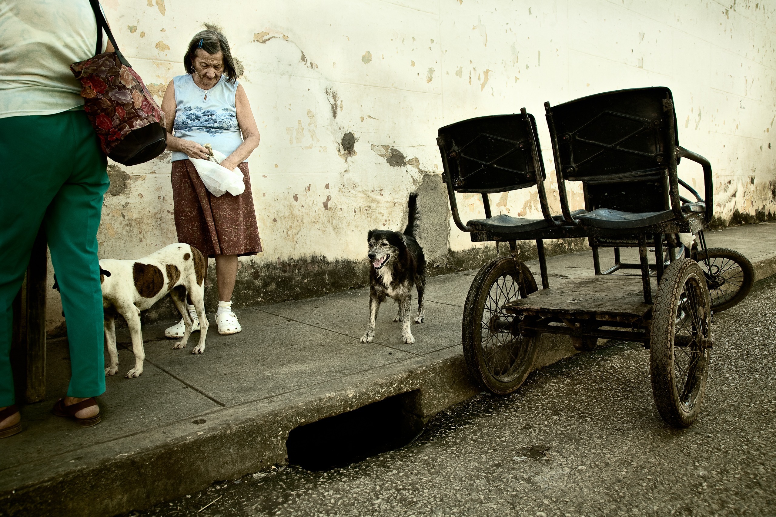 Femme et deux chiens près de tricycles sur un trottoir, Caibarién, Villa Clara, Cuba