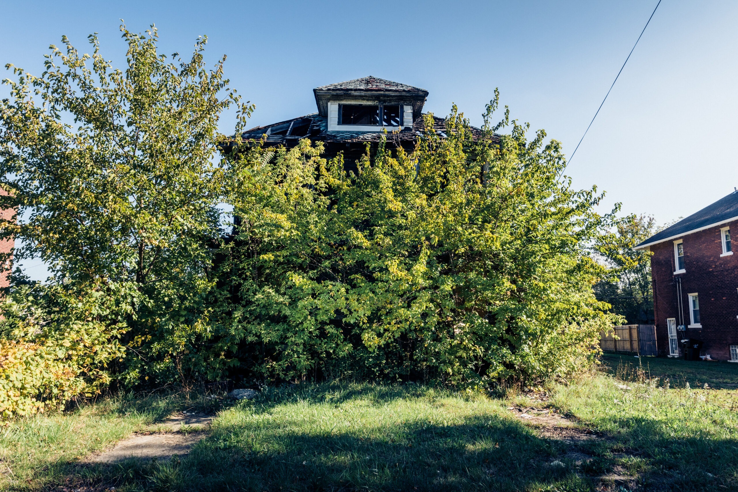 Maison presque cachée par des arbustes, Detroit, Michigan